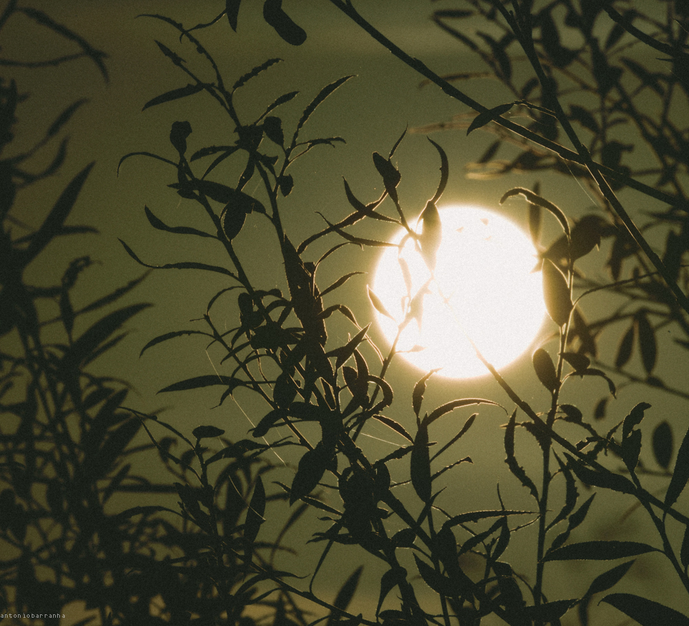 Contraluz Outubro 2014-3.jpg